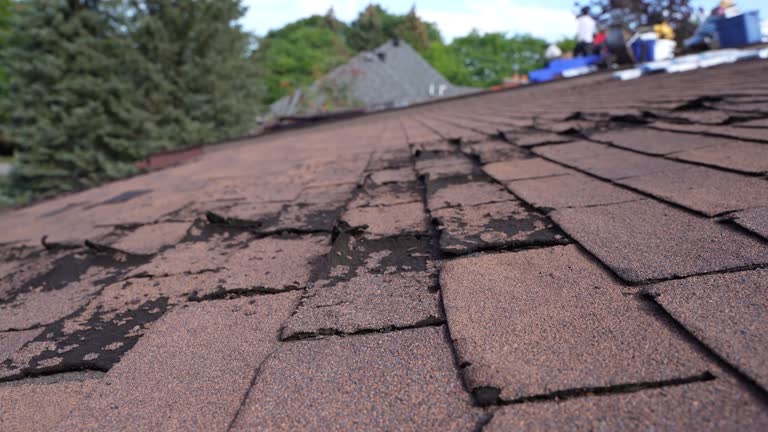 Best Rubber Roofing (EPDM, TPO)  in Meron Park, CA