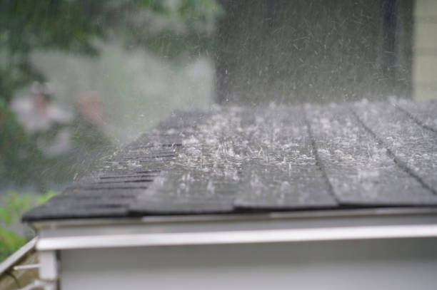 Best Roof Coating and Sealing  in Meron Park, CA