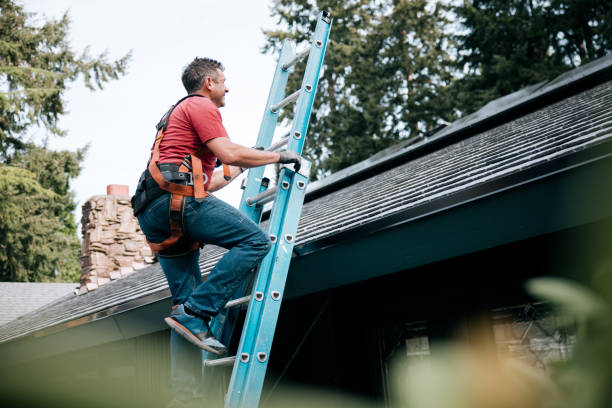 Best Chimney Flashing Repair  in Meron Park, CA