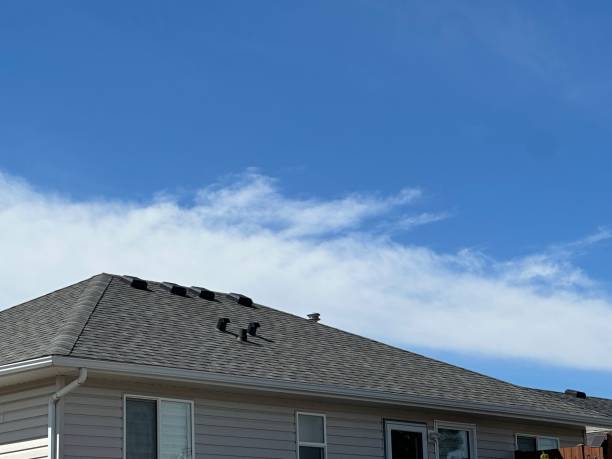 Best Sheet Metal Roofing  in Meron Park, CA